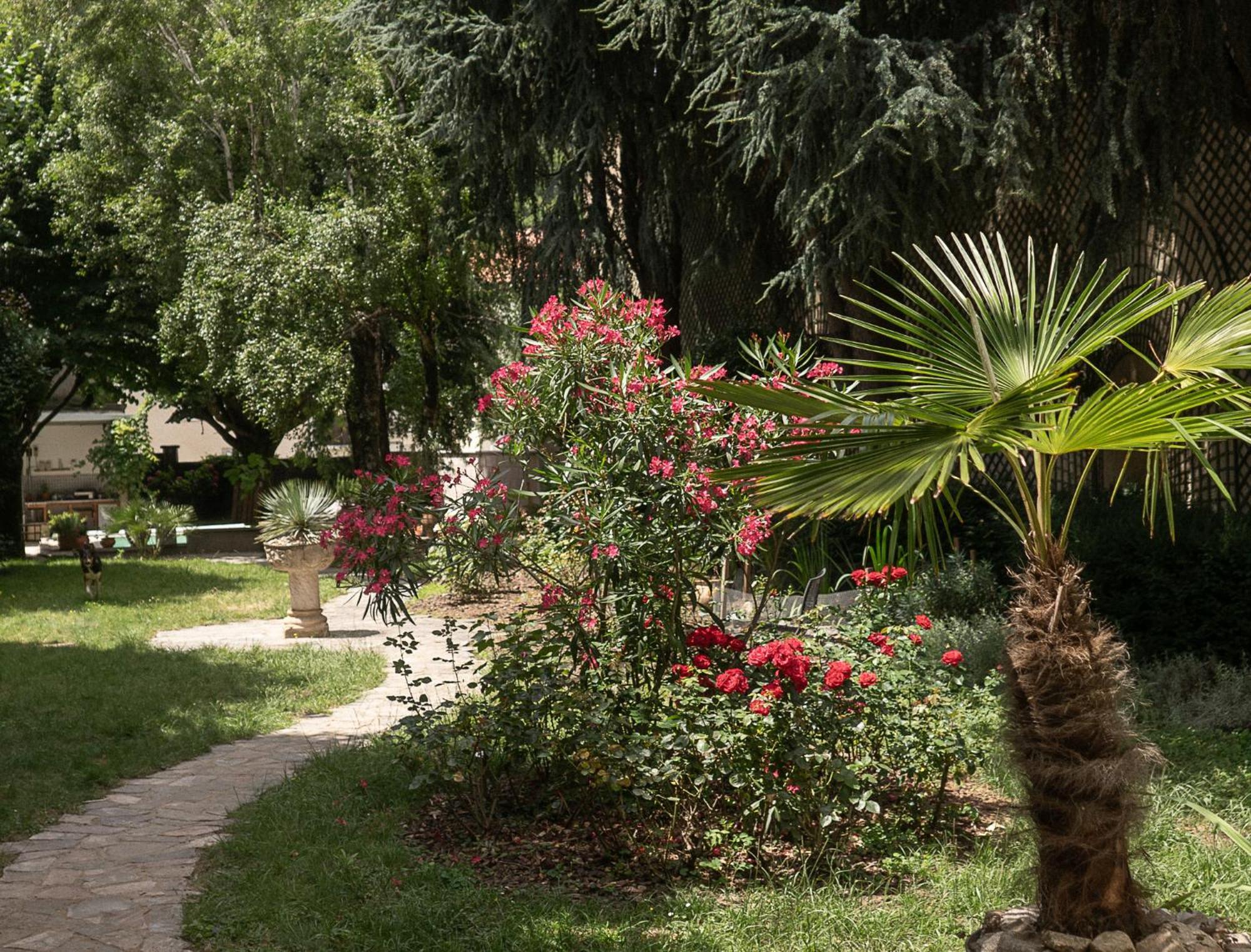 Residence Midi Mazamet Exteriér fotografie